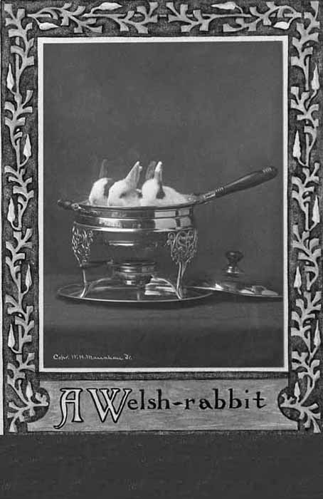 Welsh Rabbit